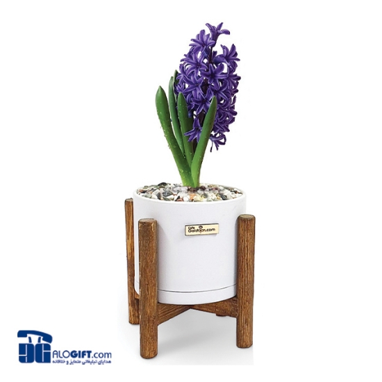 تصویر  سنبل با گلدان استوانه ای پایه چوبی