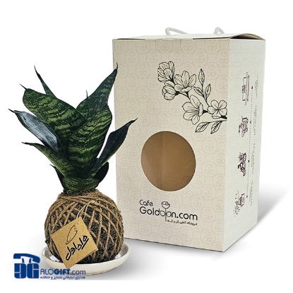 تصویر  کوکداما کوچک